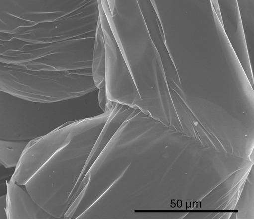 Micrografia Eletrônica de Varredura (MEV)